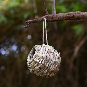 Hummingbird Fuglehus