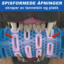 Last inn bildet i Galleri-visningsprogrammet, Hunde Tygge Tannbørste | Tenn rengjørings Leketøy
